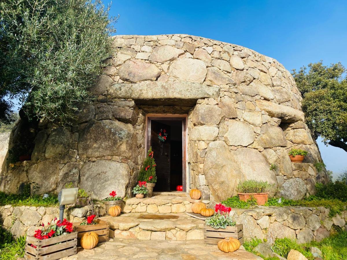 Bed and Breakfast Il Nuraghe Del Lago Coghinas Oschiri Экстерьер фото